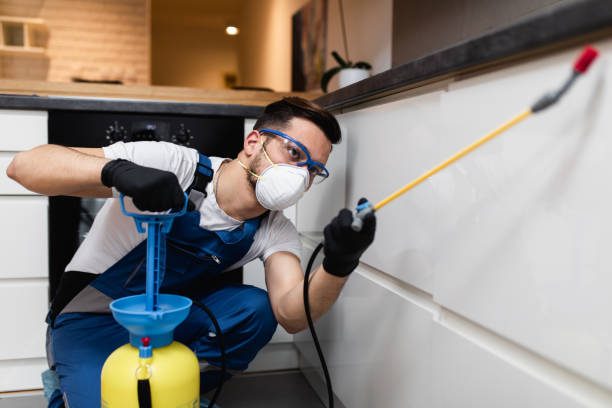 Best Affordable Pest Control Services  in Salamatof, AK
