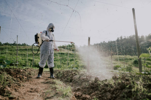 Best Affordable Pest Control Services  in Salamatof, AK