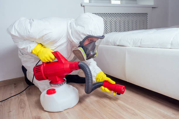 Best Pest Control Near Me in Salamatof, AK