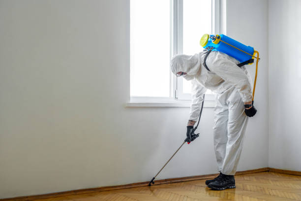  Salamatof, AK Pest Control Pros