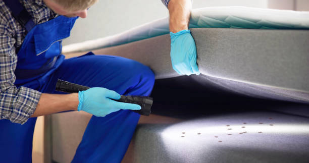 Best Local Pest Control Services  in Salamatof, AK
