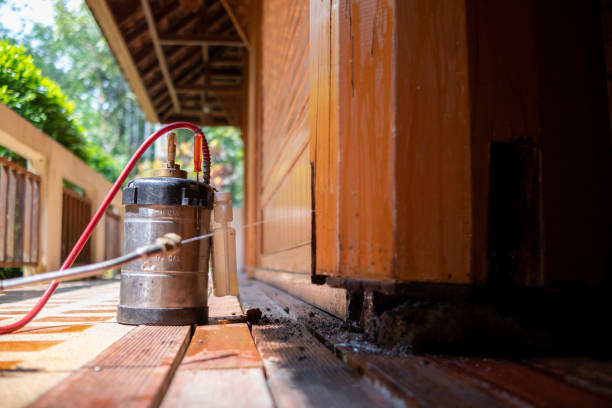 Best Pest Control for Restaurants  in Salamatof, AK