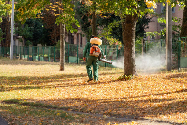 Best Pest Removal Services  in Salamatof, AK