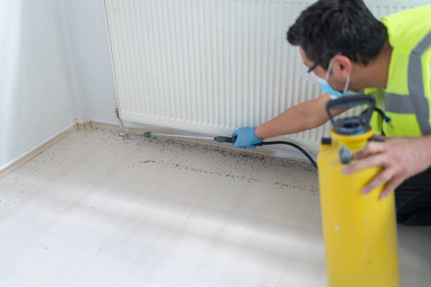 Best Commercial Pest Control Services  in Salamatof, AK